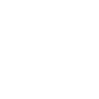 Language
